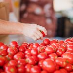 Educação Ambiental: O Caminho para a Consciência e a Transformação Sustentável