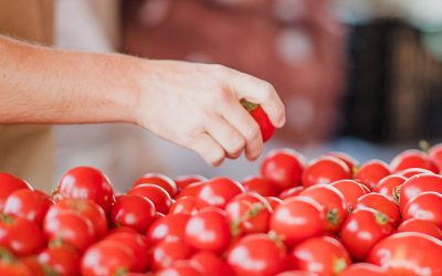 Educação Ambiental: O Caminho para a Consciência e a Transformação Sustentável