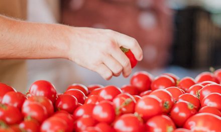 Educação Ambiental: O Caminho para a Consciência e a Transformação Sustentável