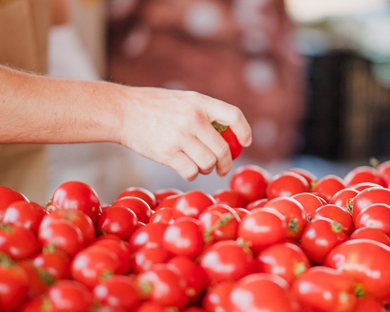 Educação Ambiental: O Caminho para a Consciência e a Transformação Sustentável